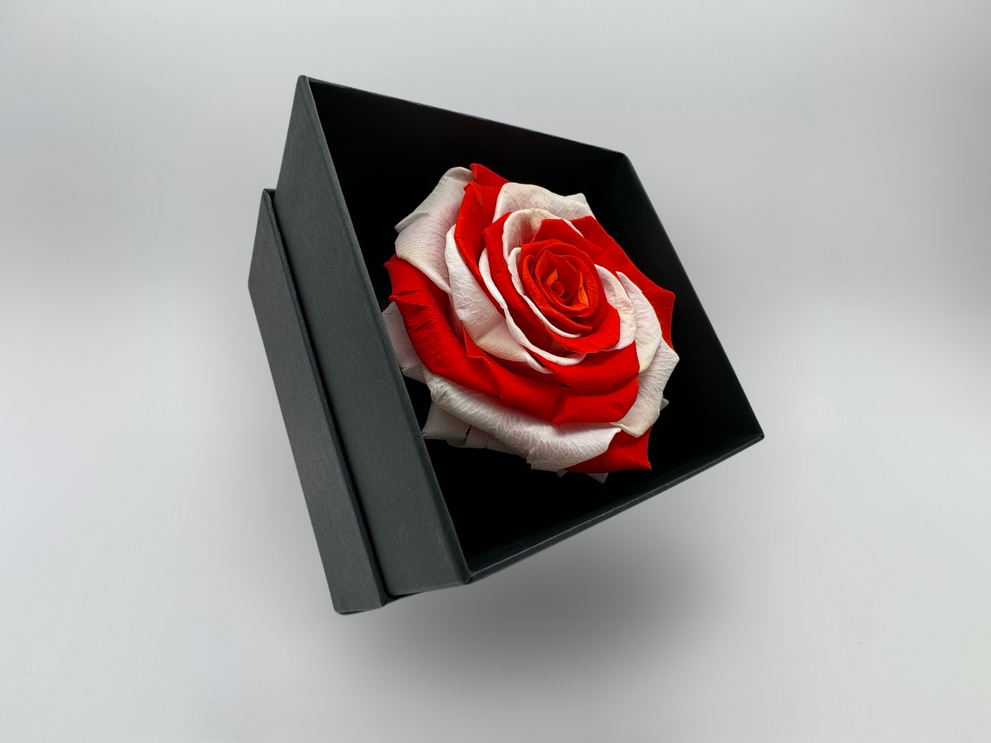 England Flag 10cm Infinity Rose-Round Collection
