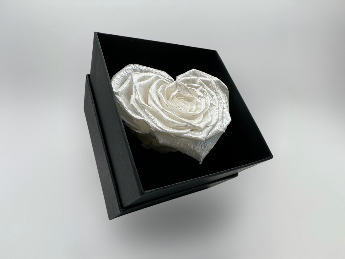 White Shimmer 10cm Infinity Rose-Heart Collection