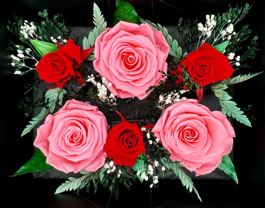 Light Pink And Classic Red Infinity Rose-Arrangement Box