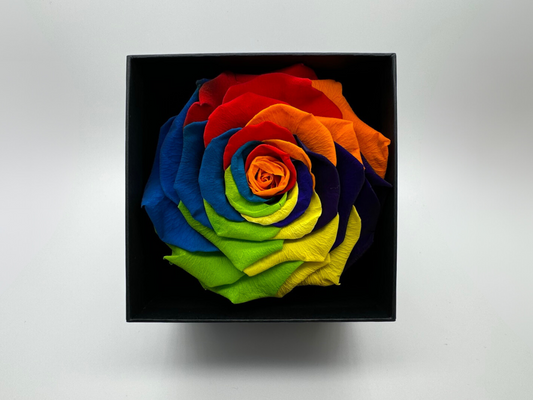 Multicolour 10cm Infinity Rose-Round Collection