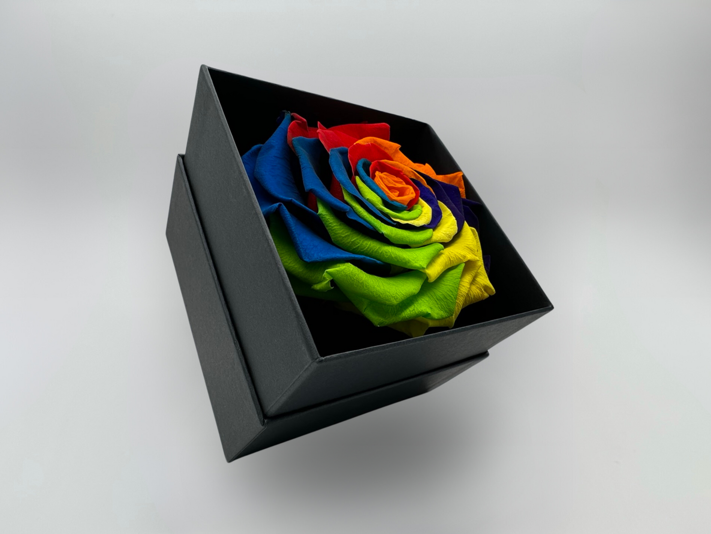 Multicolour 10cm Infinity Rose-Round Collection