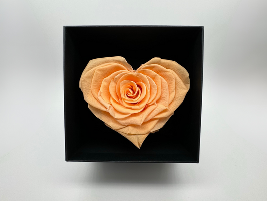 Peach 10cm Infinity Rose-Heart Collection