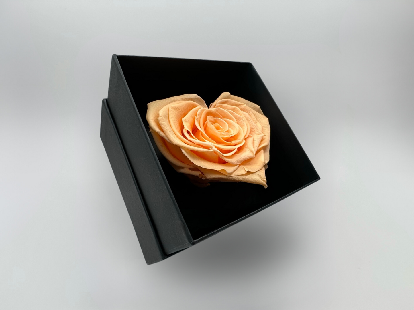 Peach 10cm Infinity Rose-Heart Collection