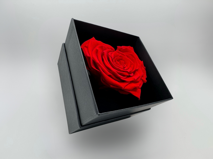 Passion Red  10cm Infinity Rose-Heart Collection