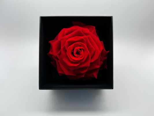 Red 10cm Infinity Rose-Round Collection