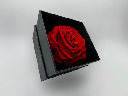 Red 10cm Infinity Rose-Round Collection